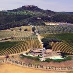Domaine Il Poggione | Lorsque tradition et innovation s’allient harmonieusement