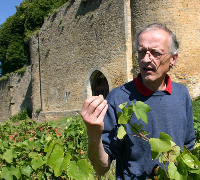 Chateau d'Arlay Jura vin pinot noir iDealwine