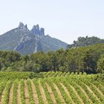 Domaine Raspail-Ay, « un des ténors de Gigondas » (Bettane+Desseauve)