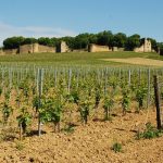 Château d’Arlay | Majesté bourguignonne au cœur du Jura
