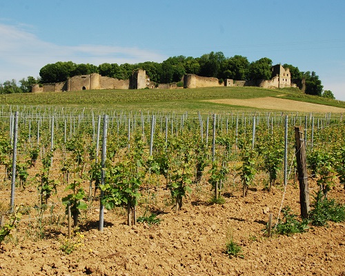 Lire la suite à propos de l’article Château d’Arlay | Majesté bourguignonne au cœur du Jura