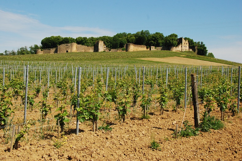 Chateau d'Arlay Jura vin pinot noir iDealwine