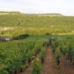 Bourgogne | Domaine Didon, « paradis caché »
