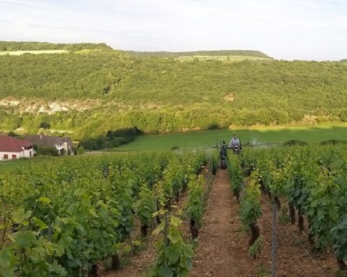 Lire la suite à propos de l’article Bourgogne | Domaine Didon, « paradis caché »