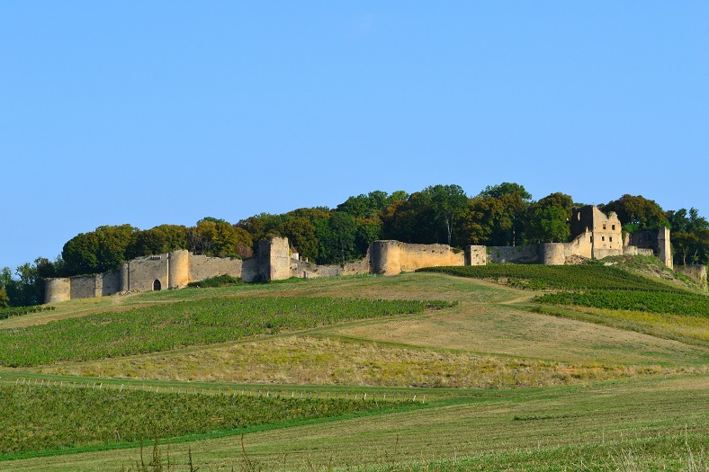 Chateau d'Arlay Jura vin pinot noir iDealwine