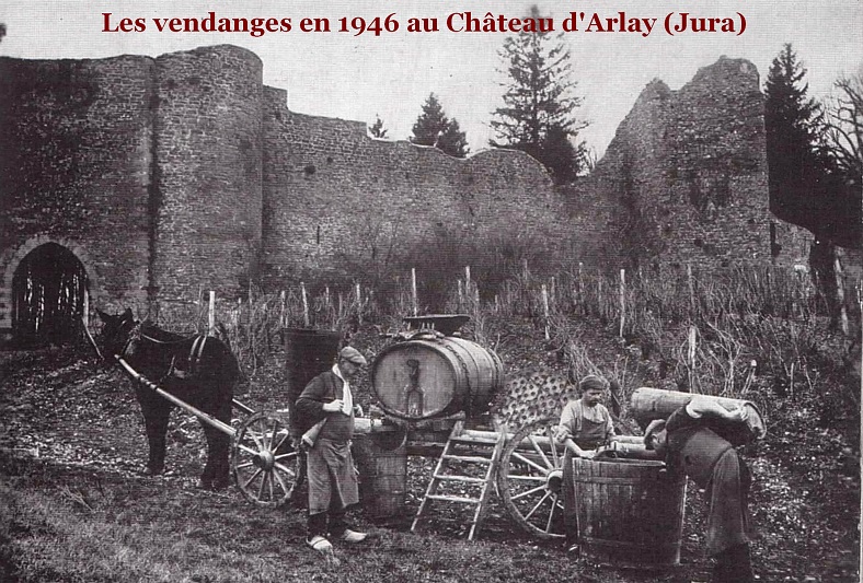 Chateau d'Arlay Jura vin pinot noir iDealwine