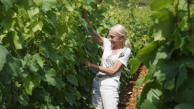 Lalou Bize-Leroy vigneronnes iDealwine