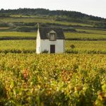 Bourgogne | Millésimes 2016 et 2017, le match