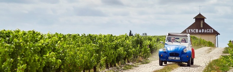 Chateau Lynch Bages Pauillac Bordeaux vignes