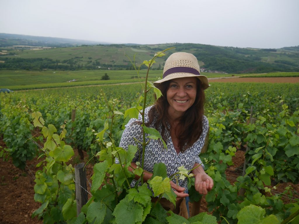 Domaine Rouges Queues