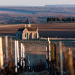 Domaine Pattes Loup | Chablis à pleines dents