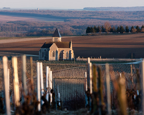 Lire la suite à propos de l’article Domaine Pattes Loup | Chablis à pleines dents