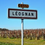 Pessac-Léognan : de grands bordeaux singuliers et abordables