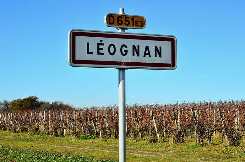 Vignes-Pessac-Leognan