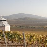 Domaine Disznoko | Tokaj, ou l’or de la Hongrie