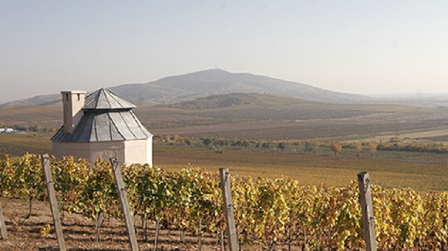 Lire la suite à propos de l’article Domaine Disznoko | Tokaj, ou l’or de la Hongrie