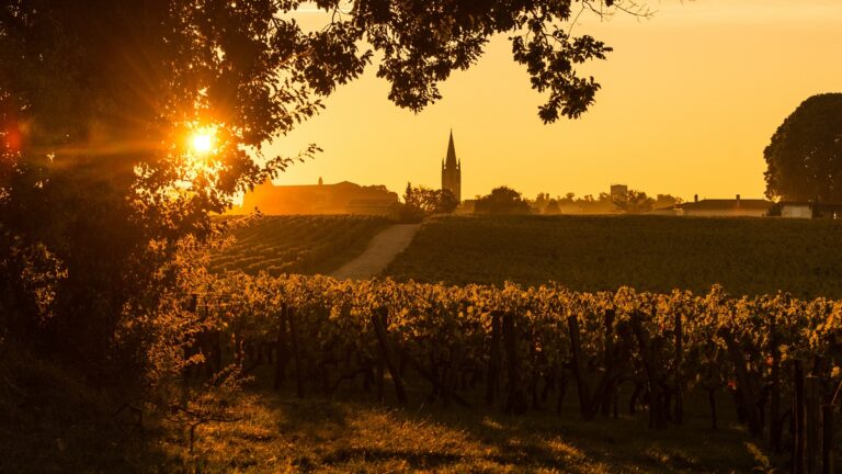 Lire la suite à propos de l’article Craquer pour Bordeaux, les 10 (très) bonnes raisons d’iDealwine