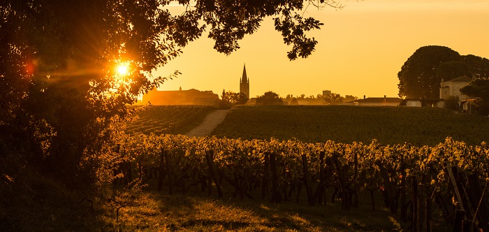 iDealwine-Saint-Emilion-Bordeaux