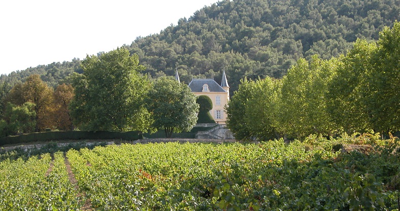 Château Simone vignes