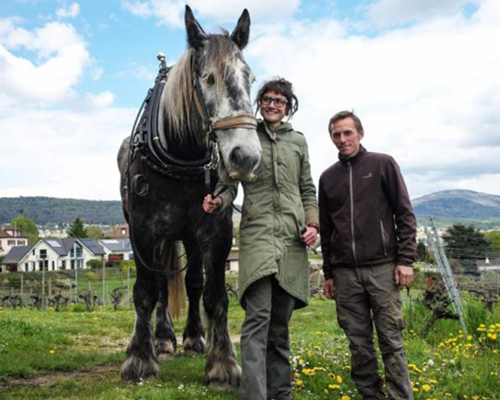 Lire la suite à propos de l’article Aurélien et Charlotte Houillon : les futures stars du Vaucluse