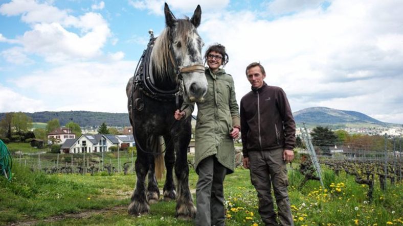 Domaine-Aurelien-et-Charlotte-Houillon