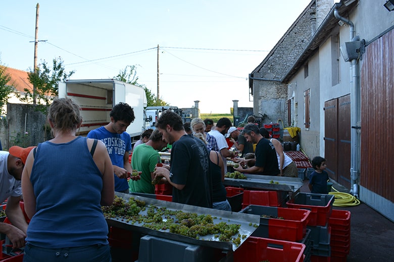 Domaine-Lise-et-Bertrand-Jousset-vendanges-