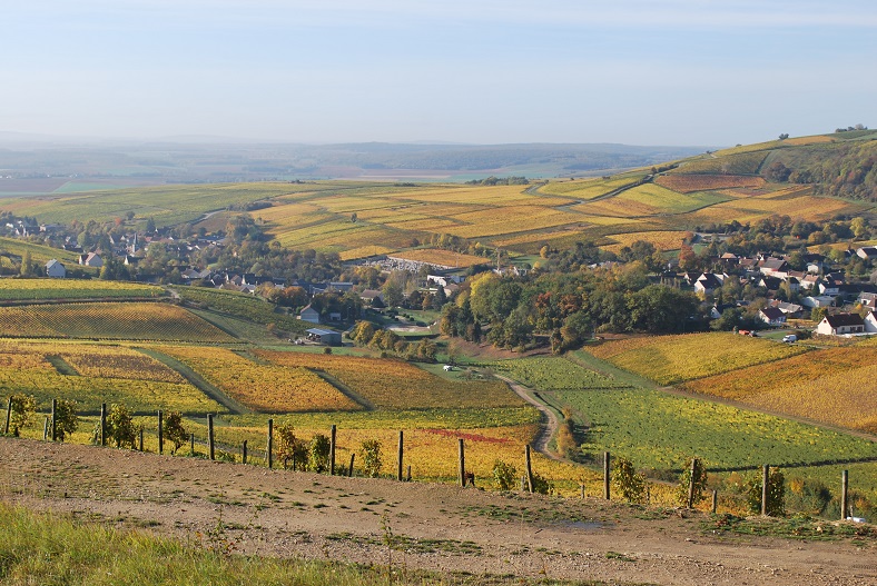 Domaine Vincent Pinard Sancerre