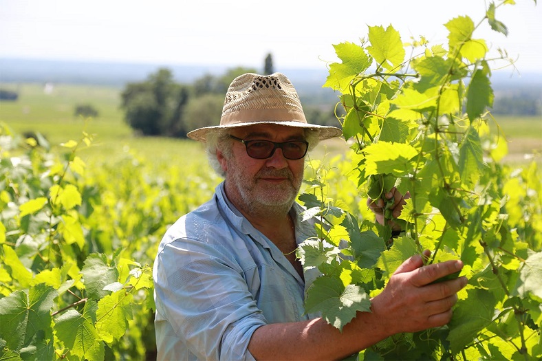 Marc Delienne vin Fleurie Beaujolais iDealwine vignes biodynamie