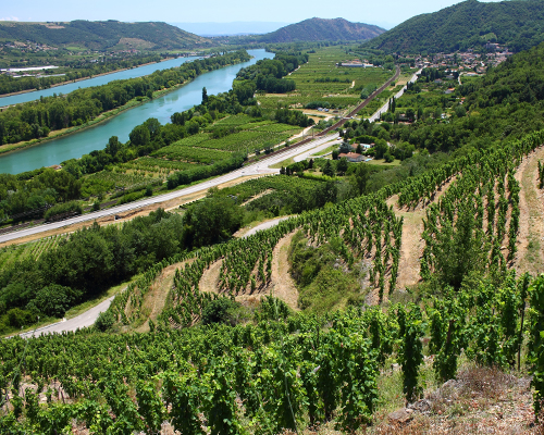 Lire la suite à propos de l’article Croisière sur le Rhône | Les domaines phares de la région