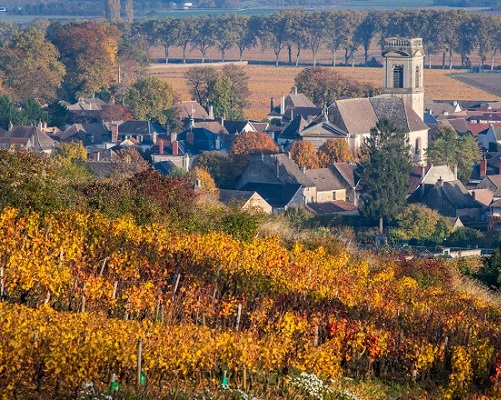 Lire la suite à propos de l’article 5 articles à lire pour être incollable sur les grands vignobles français