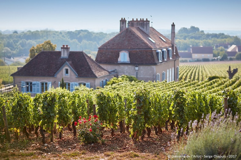 Domaine de l'Arlot vin blanc Cote de Nuits Bourgogne 2