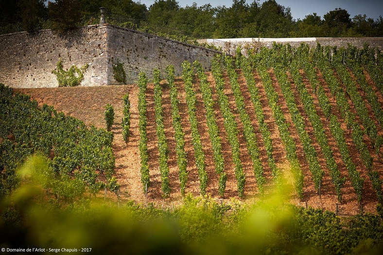 Domaine de l'Arlot vin blanc Cote de Nuits Bourgogne 3