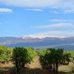 Château Bonadona | L’étoile montante du Ventoux