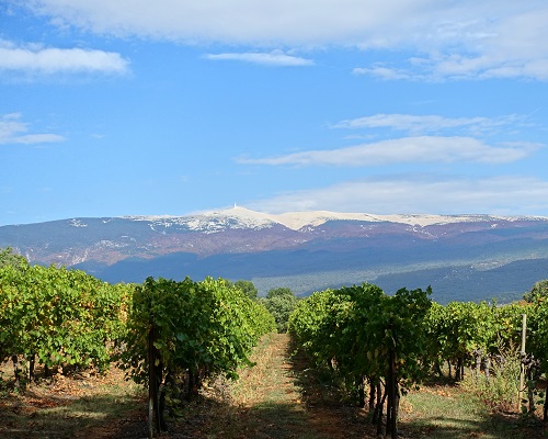 Lire la suite à propos de l’article Château Bonadona | L’étoile montante du Ventoux