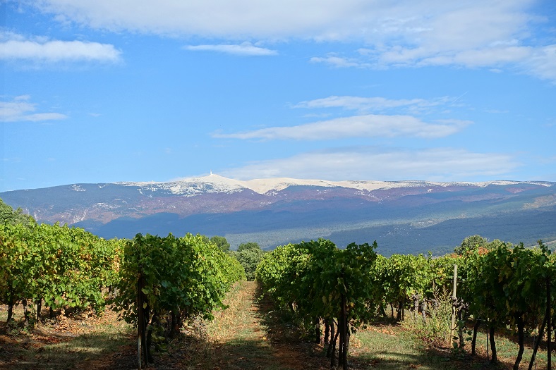 Château Bonadona Ventoux