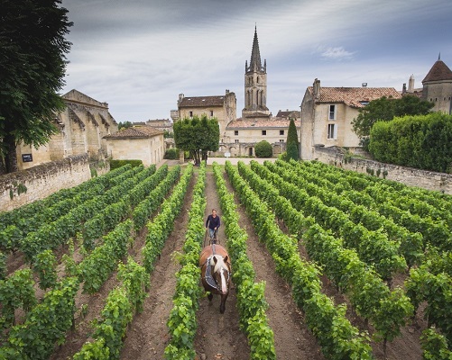 Lire la suite à propos de l’article Château Canon | Au cœur de Saint-Emilion depuis plus de 250 ans