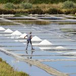 Domaine Saint-Nicolas | 25 ans de biodynamie au cœur des marais salants