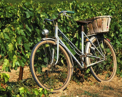 Lire la suite à propos de l’article Le Muscadet | Un champ des possibles extraordinaire