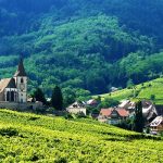 Jean Ginglinger : itinéraire d’un vigneron alsacien adepte de la biodynamie.