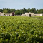 Domaine de Chevalier, un jardin dans la forêt à Pessac-Léognan