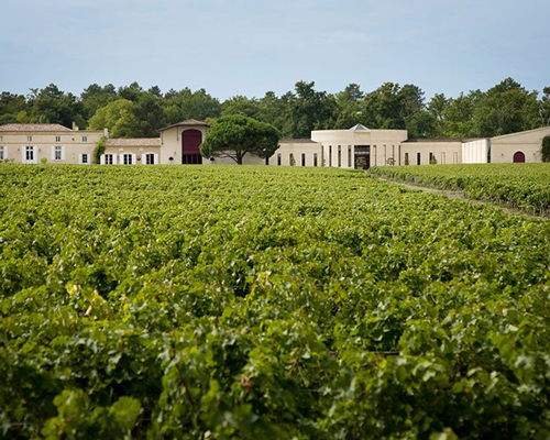 Lire la suite à propos de l’article Domaine de Chevalier, un jardin dans la forêt à Pessac-Léognan