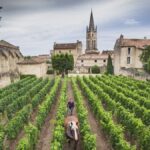 Château Canon | Au cœur de Saint-Emilion depuis plus de 250 ans