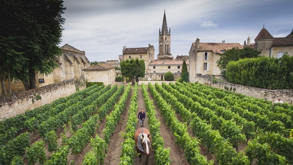 Lire la suite à propos de l’article Château Canon | Au cœur de Saint-Emilion depuis plus de 250 ans