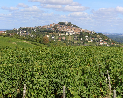 Lire la suite à propos de l’article Un été dans les vignes | Oserez-vous braver le piton de Sancerre ?