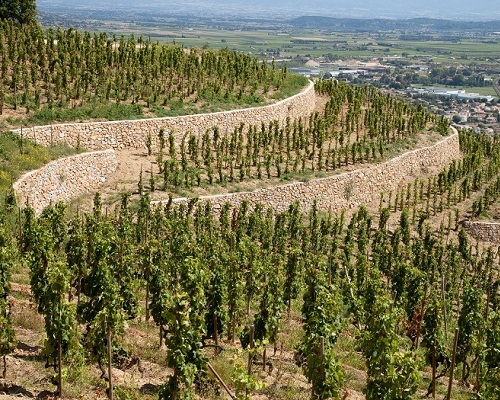 Lire la suite à propos de l’article Un été dans les vignes | Découvrez la vallée du Rhône le temps d’un week-end