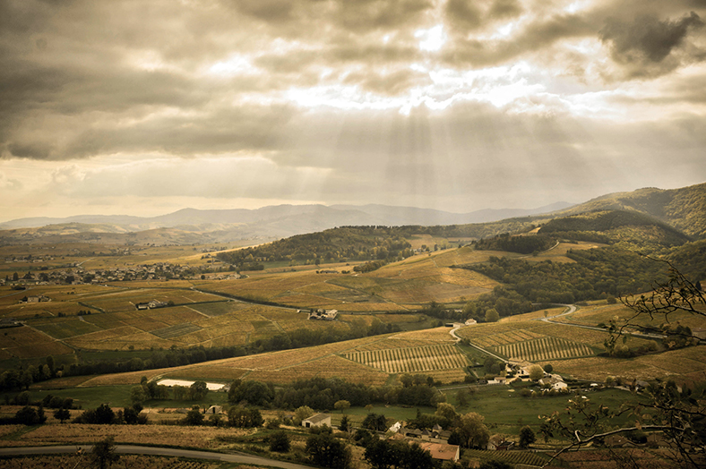 Domaine-Jean-Claude-Lapalu