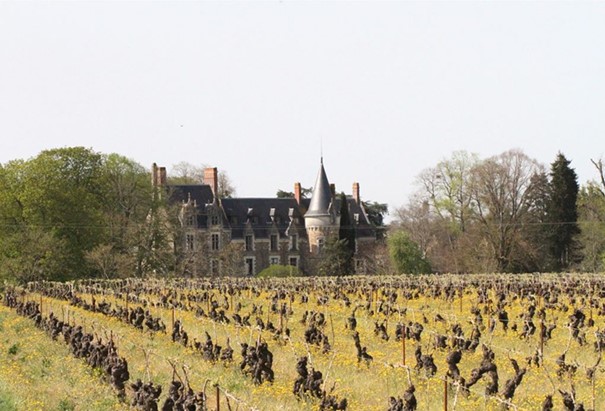 Domaine de l’Ecu château