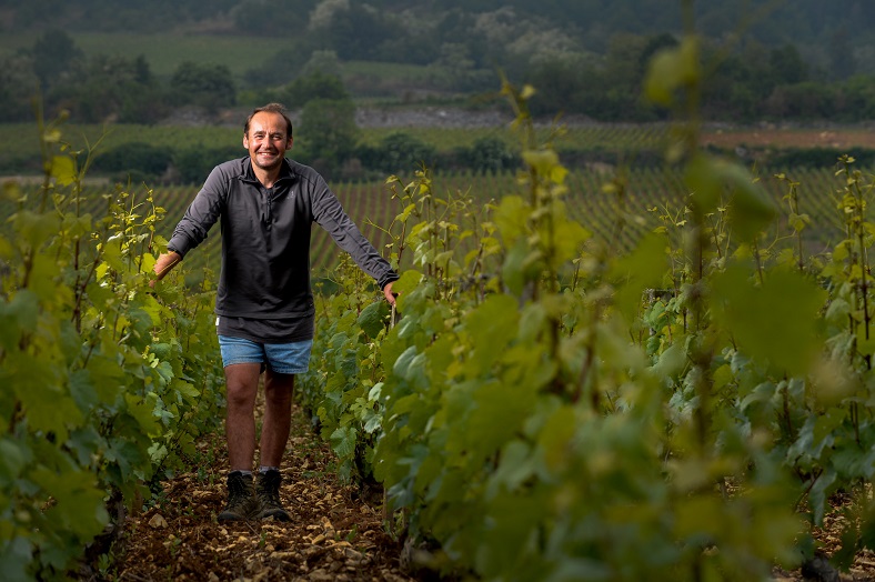 Michel Bouzereau & fils Meursault