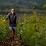 Domaine Michel Bouzereau & fils | Vigneron attentif à  Meursault