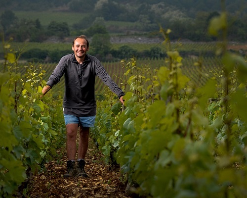 Lire la suite à propos de l’article Domaine Michel Bouzereau & fils | Vigneron attentif à  Meursault